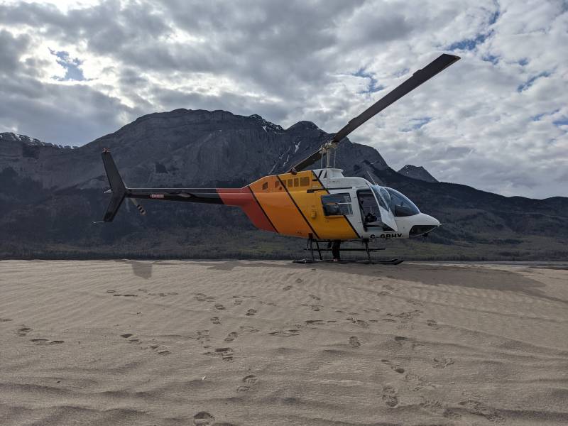 Bell 206B III Jet Ranger