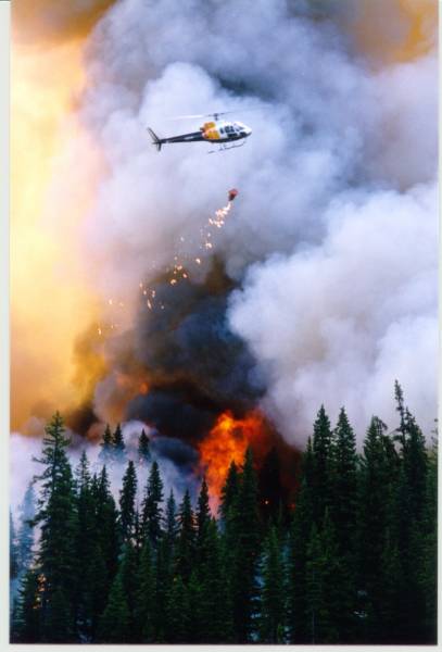 Aerial Firefighting - Remote Helicopters