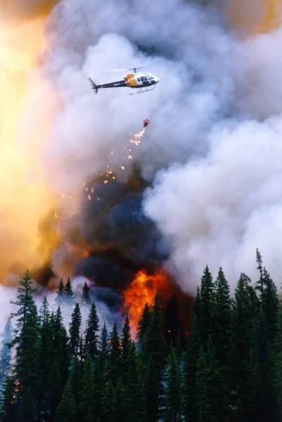 Forestry Services - Remote Helicopters