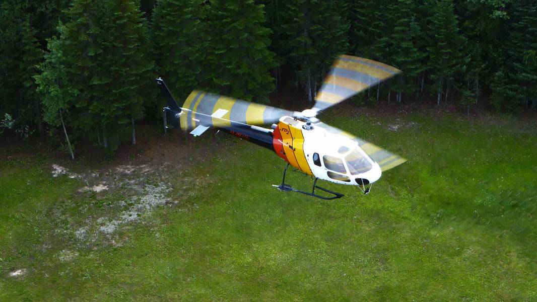 Forestry Services - Remote Helicopters