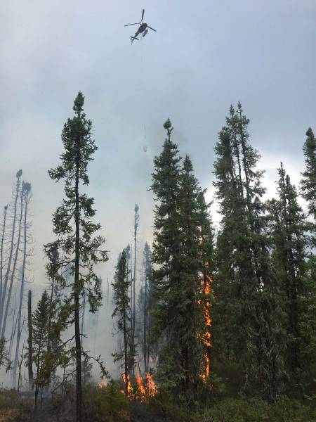 Forestry Services - Remote Helicopters